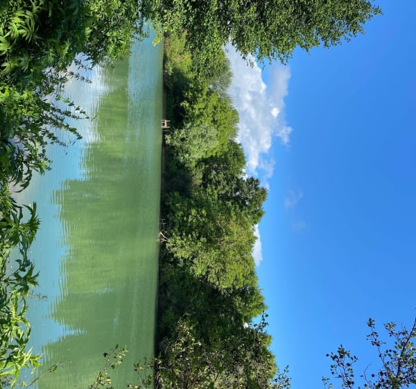 Balade dans la forêt des Vallières - Thorigny-sur-Marne - 1