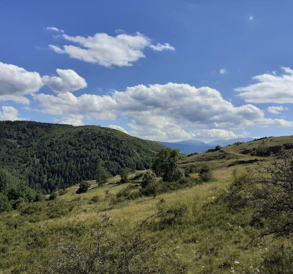 Ontdekkingstocht naar de zonneoven en panoramische wandelpaden - Font-Romeu-Odeillo-Via - 1
