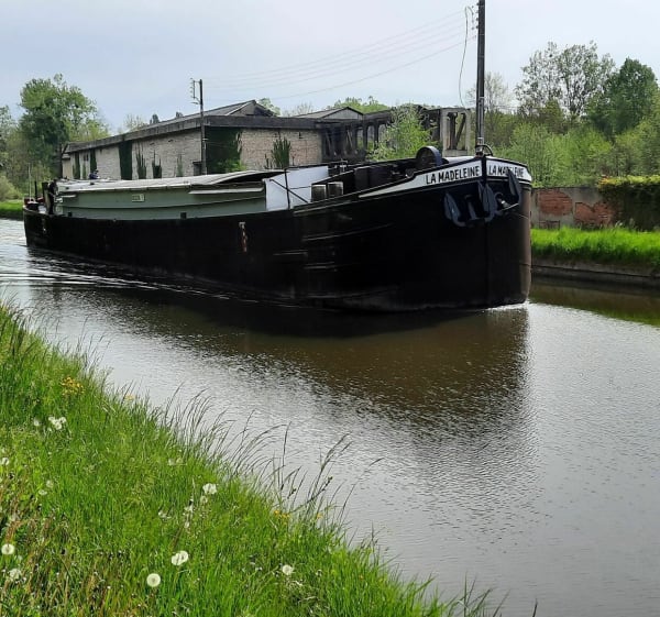 Bords du canal Châlette-sur-Loing... Nargis - Châlette-sur-Loing - 1