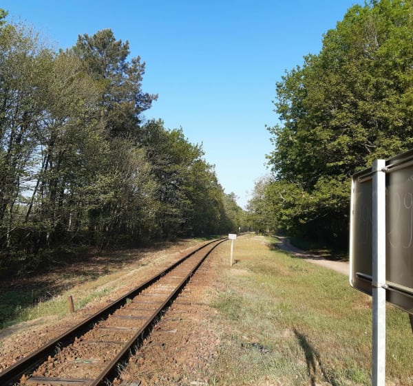 Randonnée entre le petit train et les étangs - Villeherviers - 1