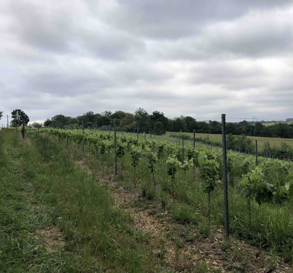 Balade à vélo sur le chemin des marais - Cazaubon - 1