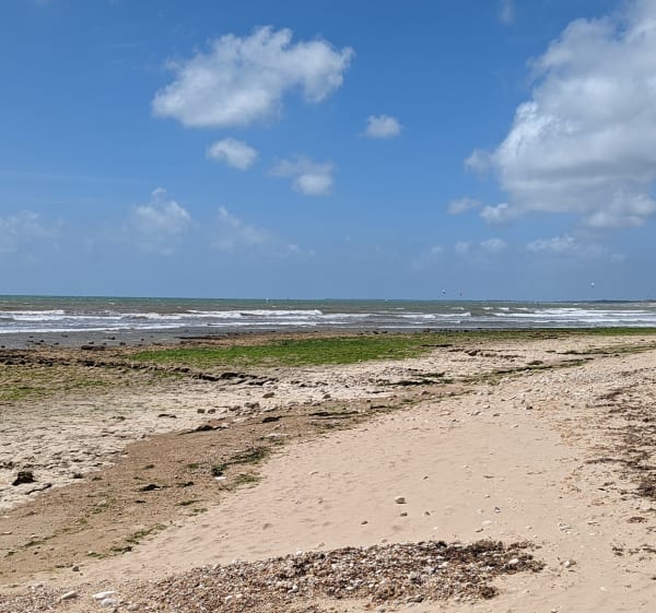 Trip pittoresque sur la côte sud rétaise et aux Ensemberts - Sainte-Marie-de-Ré - 1