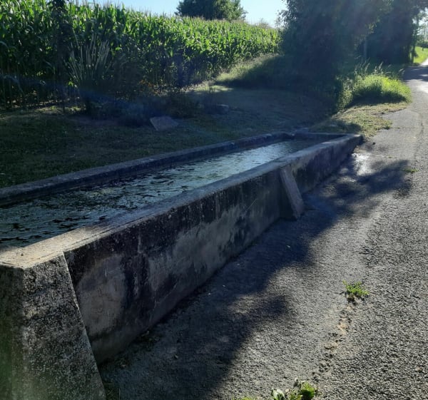 Balade en bordure de Saône puis vers Lurcy - Francheleins - 1