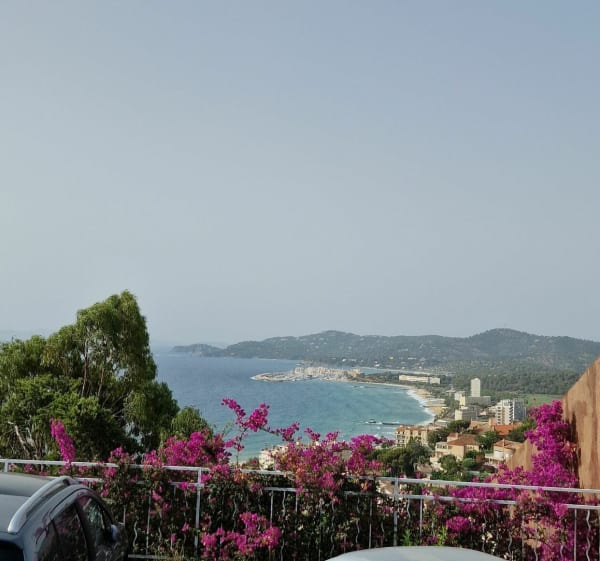 De bergkamweg van Bormes-les-Mimosas - Le Lavandou - 1