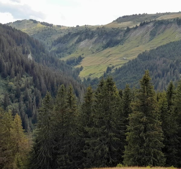 Lac du Gui et Mont Rond depuis les Frasses - Notre-Dame-de-Bellecombe - 1