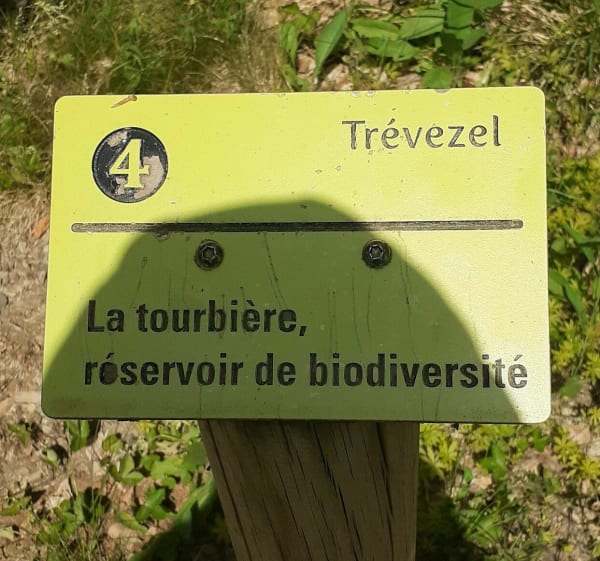 Sentier du Trevezel - Val-d'Aigoual - 1