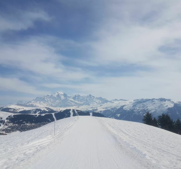 Des saisies au Mont Bisanne - Hauteluce - 1