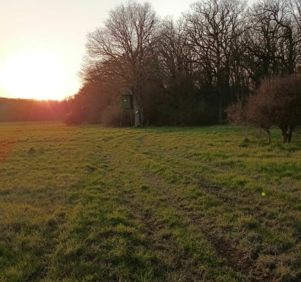Sentier du Bruhlwald Lixing les Saint Avold - Vahl-Ebersing - 1