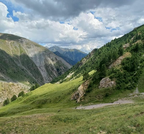 Vallon de Salso Moreno dans la haute Tinée (Mercantour). - Saint-Dalmas-le-Selvage - 1