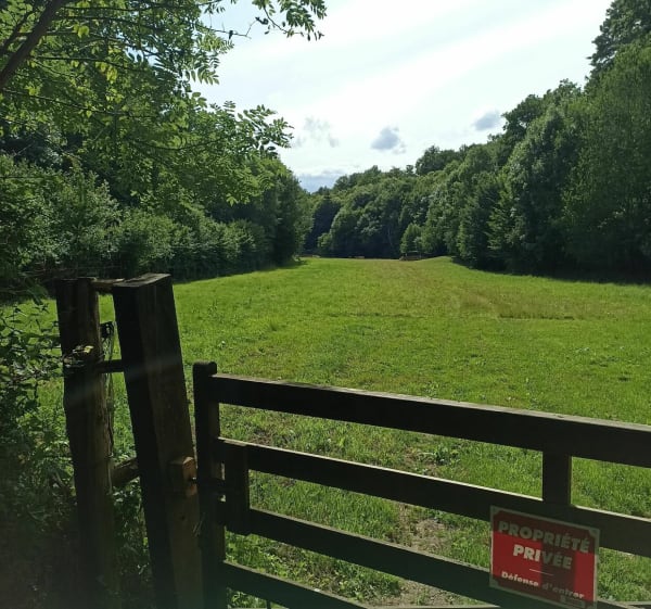 Balade en forêt à Saint-Pierre-de-Salerne - Saint-Pierre-de-Salerne - 1