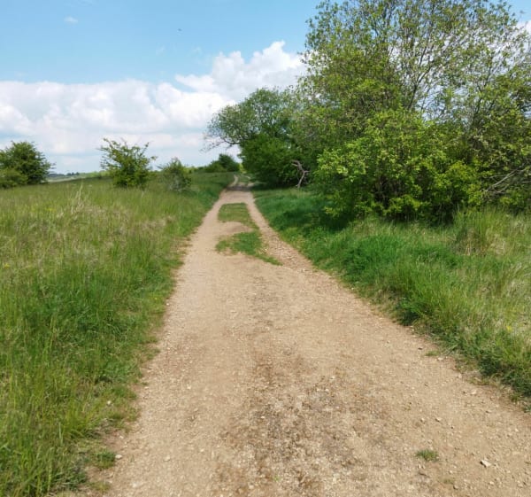 Plateau d'Algrange - Algrange - 1