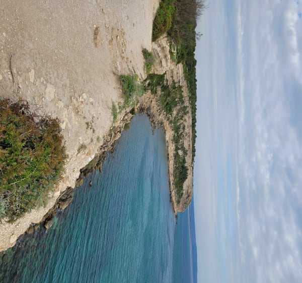 Falaises de Leucate - Leucate - 1