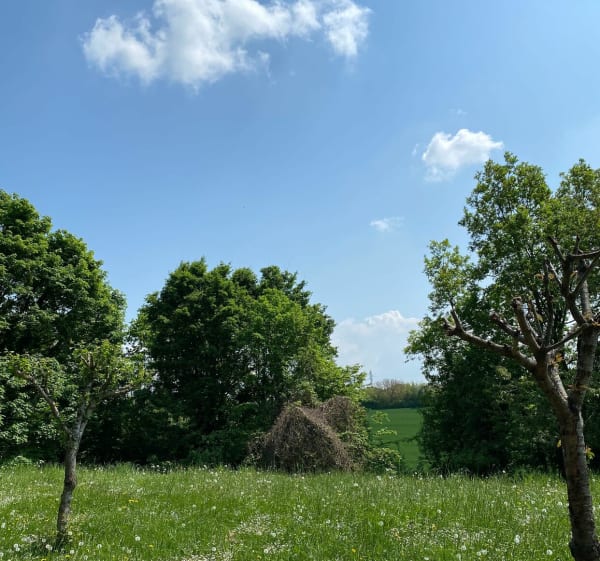 Marche à Tucquegnieux - Tucquegnieux - 1