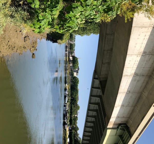 Prachtige wandeling langs de Seine - Rouen - 1