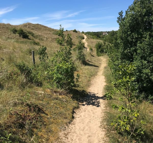 Les dunes d’Hattainville et la côte de Carteret - Barneville-Carteret - 1