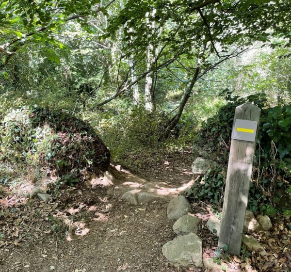 Le chemin de Halage - Pont-l'Abbé - 1
