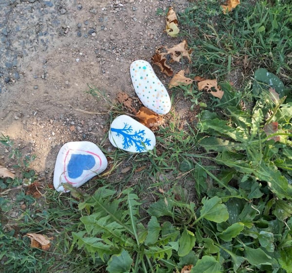 Sur les pas du petit Poucet, balade au cœur de la Creuse - La Cellette - 1