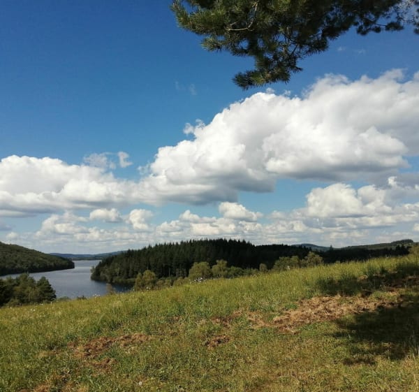 Hauteurs, landes, lac et bois - Peyrat-le-Château - 1