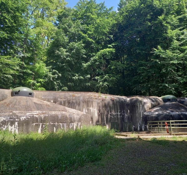 Sentier du fort de Schœnenbourg - Ingolsheim - 1