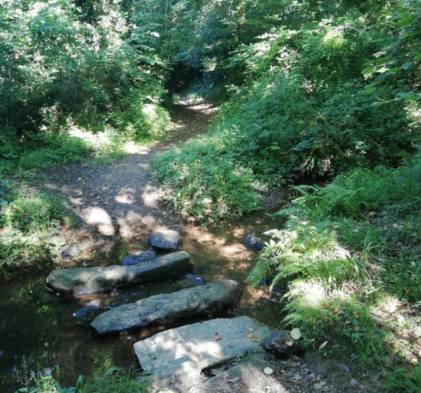 Tro Plistin-St Sébastien - Plestin-les-Grèves - 1