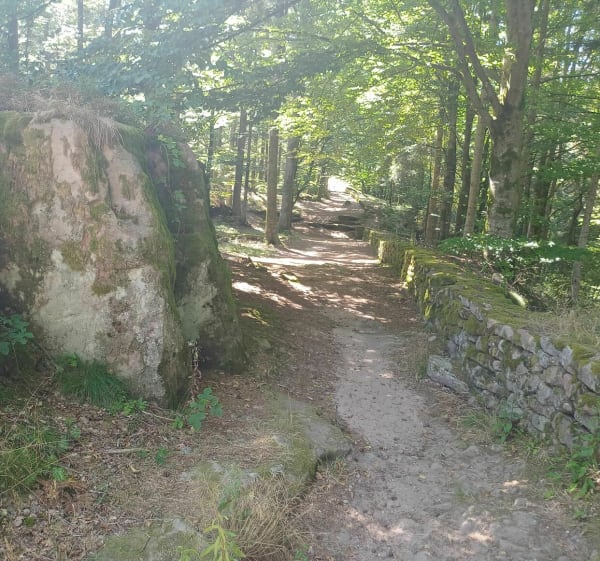 Keltisch kamp La Bure. - Saint jean d'Ormont - 1