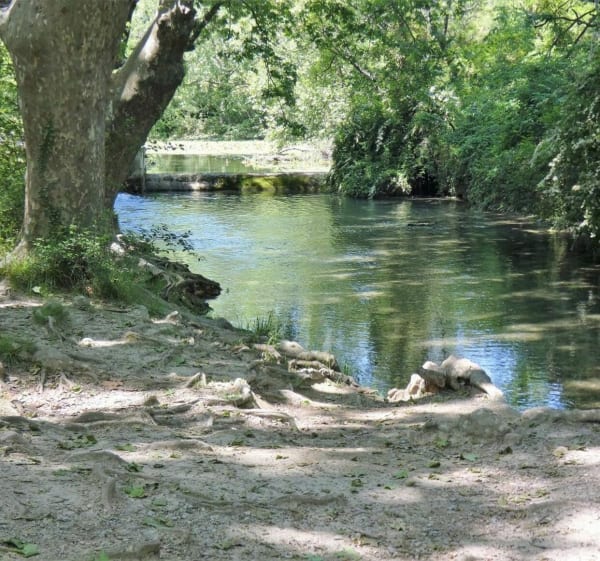 Randonnée forestière à Saint-Clément-de-Rivière - Saint-Clément-de-Rivière - 1