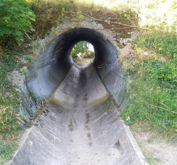 Autour de Couilly-Pont-aux-Dames - Couilly-Pont-aux-Dames - 1