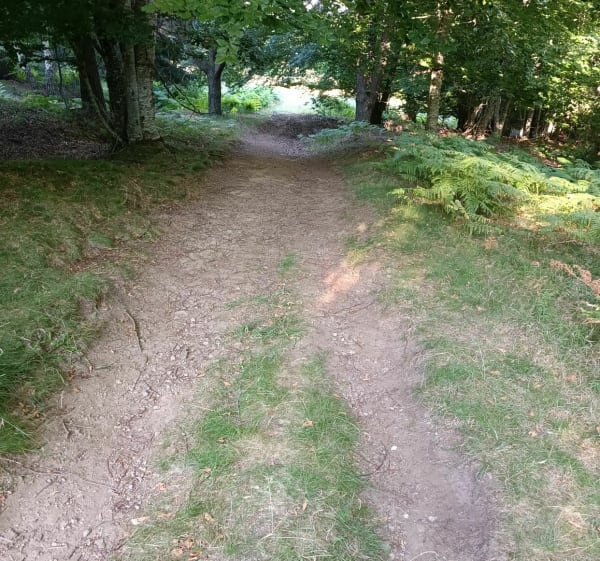 Balade au Puy de Dôme hors des chemins battus - Orcines - 1