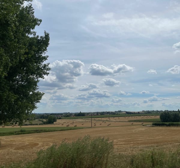 Sentier des jacinthes - Sain Jans de Cappel - 1