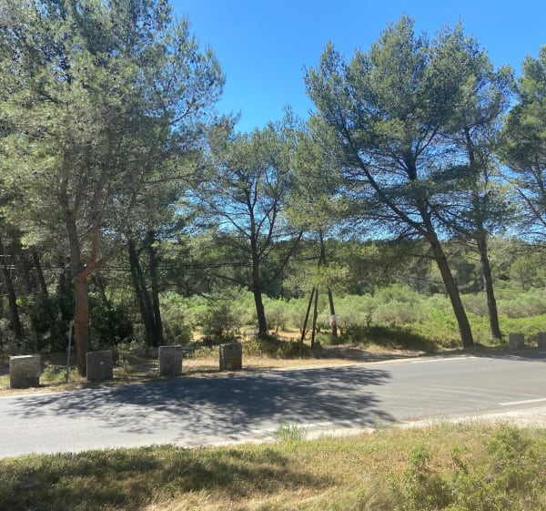 Mise en jambes à Fontvieille - Fontvieille - 1