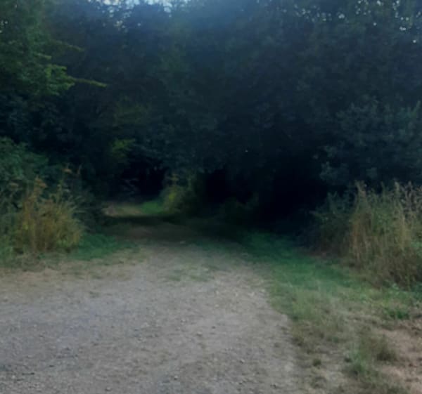 Trop agréable à Saint Ouen des Besaces - Souleuvre en Bocage - 1