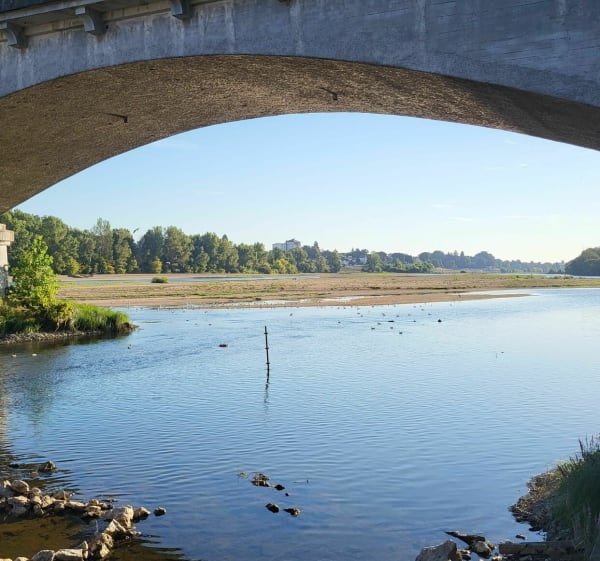 Parc de Loire St-Jean-le-Blanc - Saint-Jean-le-Blanc - 1