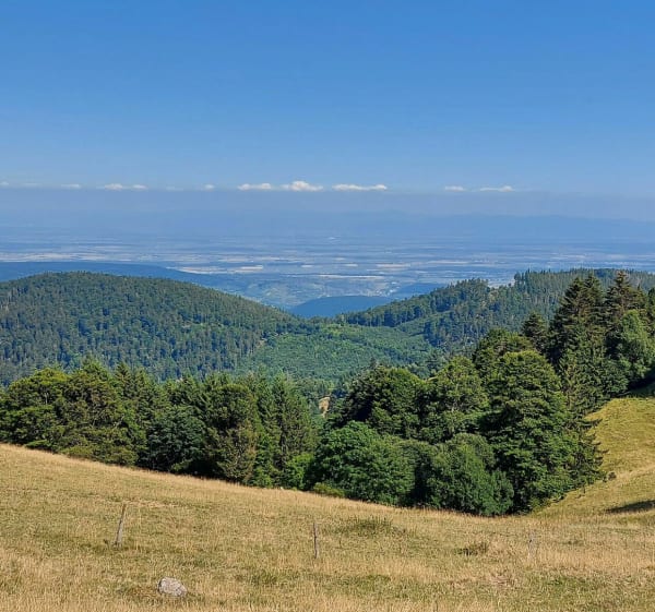 Petit ballon et Steinberg - Breitenbach-Haut-Rhin - 1