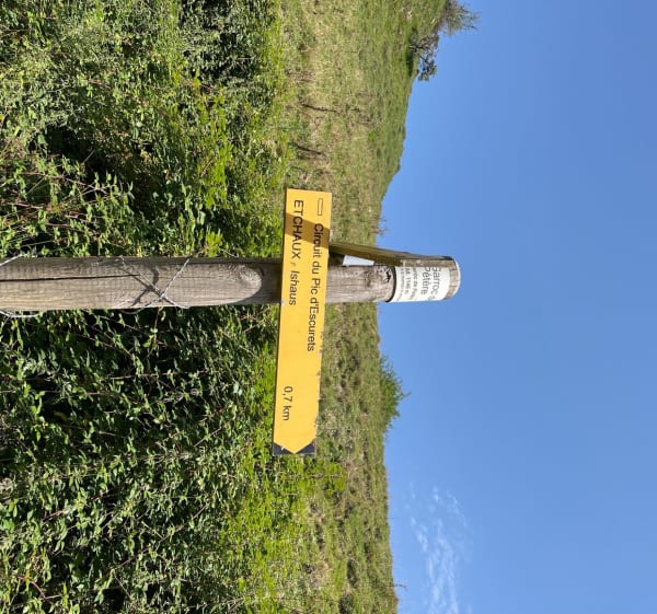 Pic d’Escuret vanaf de Marie Blanque-pas - Bilhères - 1