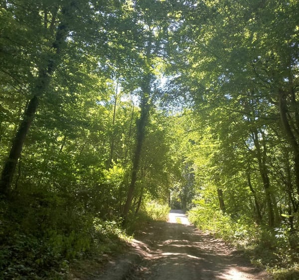 Ballade dans les sous bois autour de Quévreville-la-Poterie - Quévreville-la-Poterie - 1