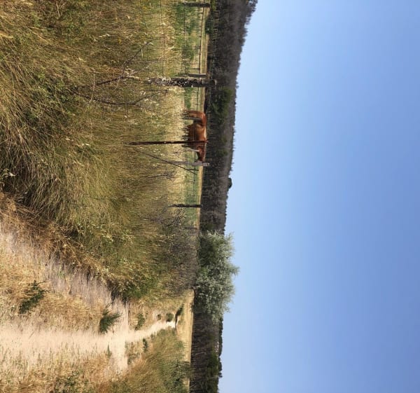 Istres, Ranquet, Castillon, - Istres - 1