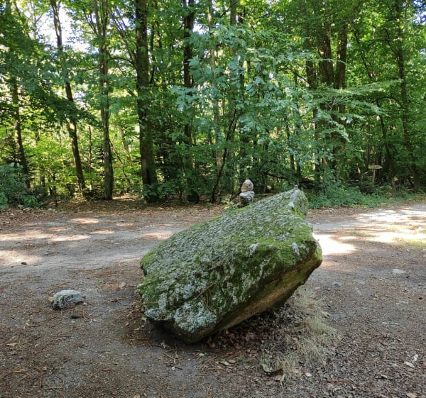 Les Sauvages et St Psaumet - Saint-Sylvestre - 1