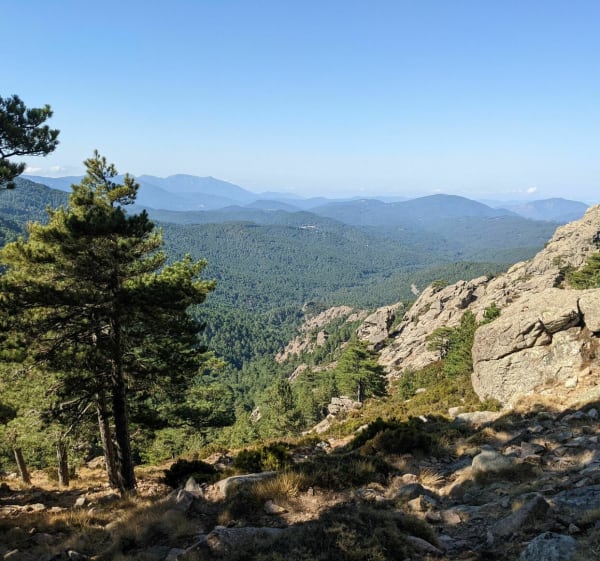 La croix de Leccia à Bavella - Bavella - 1