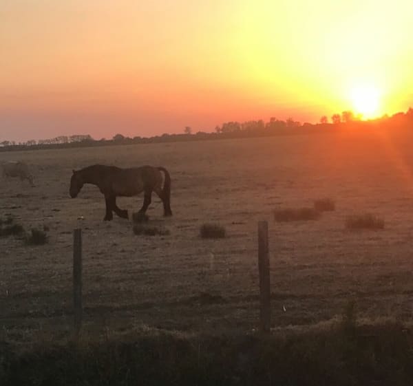 Balade Autour du communal - Les Velluire-sur-Vendée - 1