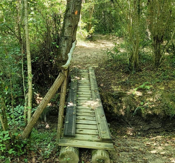 Le Bois de Rebisclou - Barbazan-Debat - 1