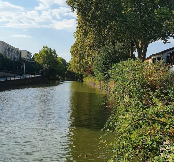 Balade bucolique à la fraîcheur de l'été - parcs de Toulouse - Toulouse - 1