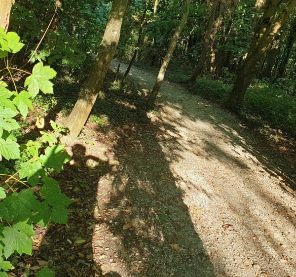 Un grand tour multi terrain - Bussy-Saint-Georges - 1