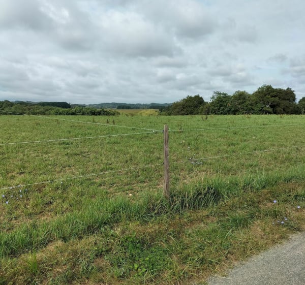 Ballade dans les champs et sous les bois à Hagetaubin - Hagetaubin - 1