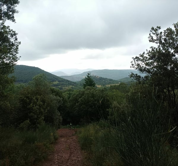 VIc Campestre-Olmet - Lodève - 1