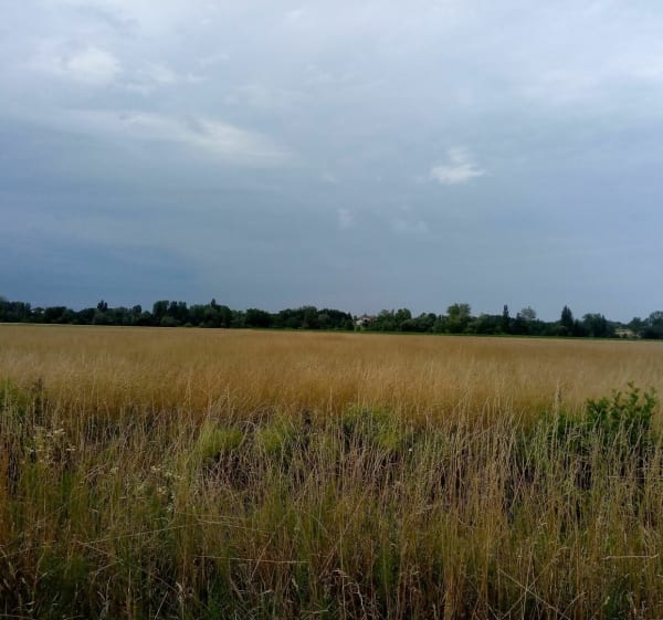Balade en plaine Le Tartre / Frangy-en-Bresse - Le Tartre - 1