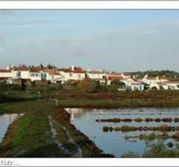 Boucle du camping au centre-ville par la jetée et les marais - Noirmoutier-en-l'Île - 1