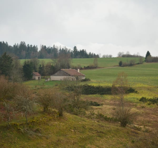 Balade par le Col de Sapois, au cœur de la forêt vosgiennes - Gérardmer - 1