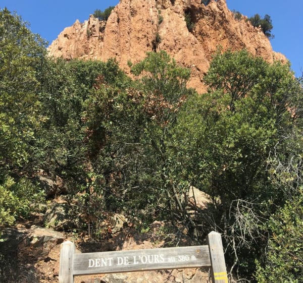 Le Pic de l’Ours et sa Dent - Saint-Raphaël - 1