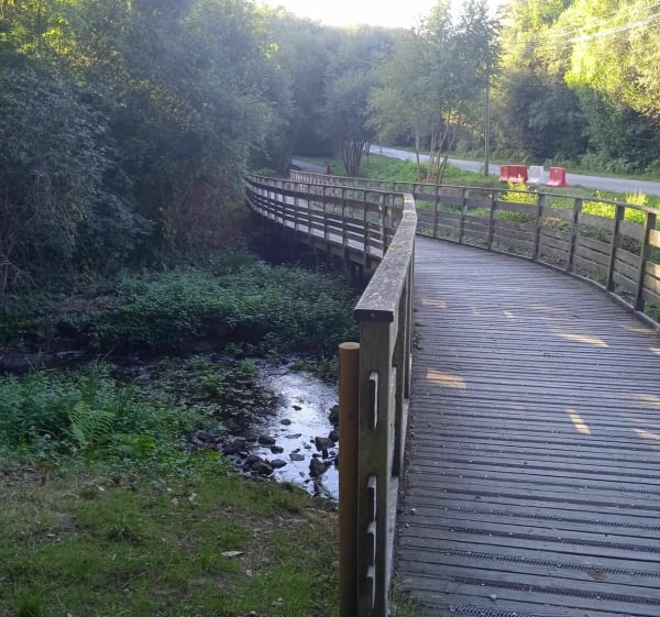 Étang de Célac à Questembert - Questembert - 1
