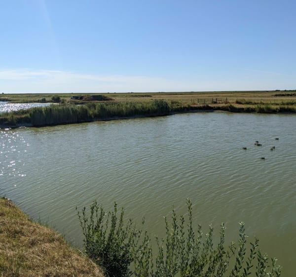 Le Tréport / Cayeux sur mer via la vélomaritime - Le Tréport - 1